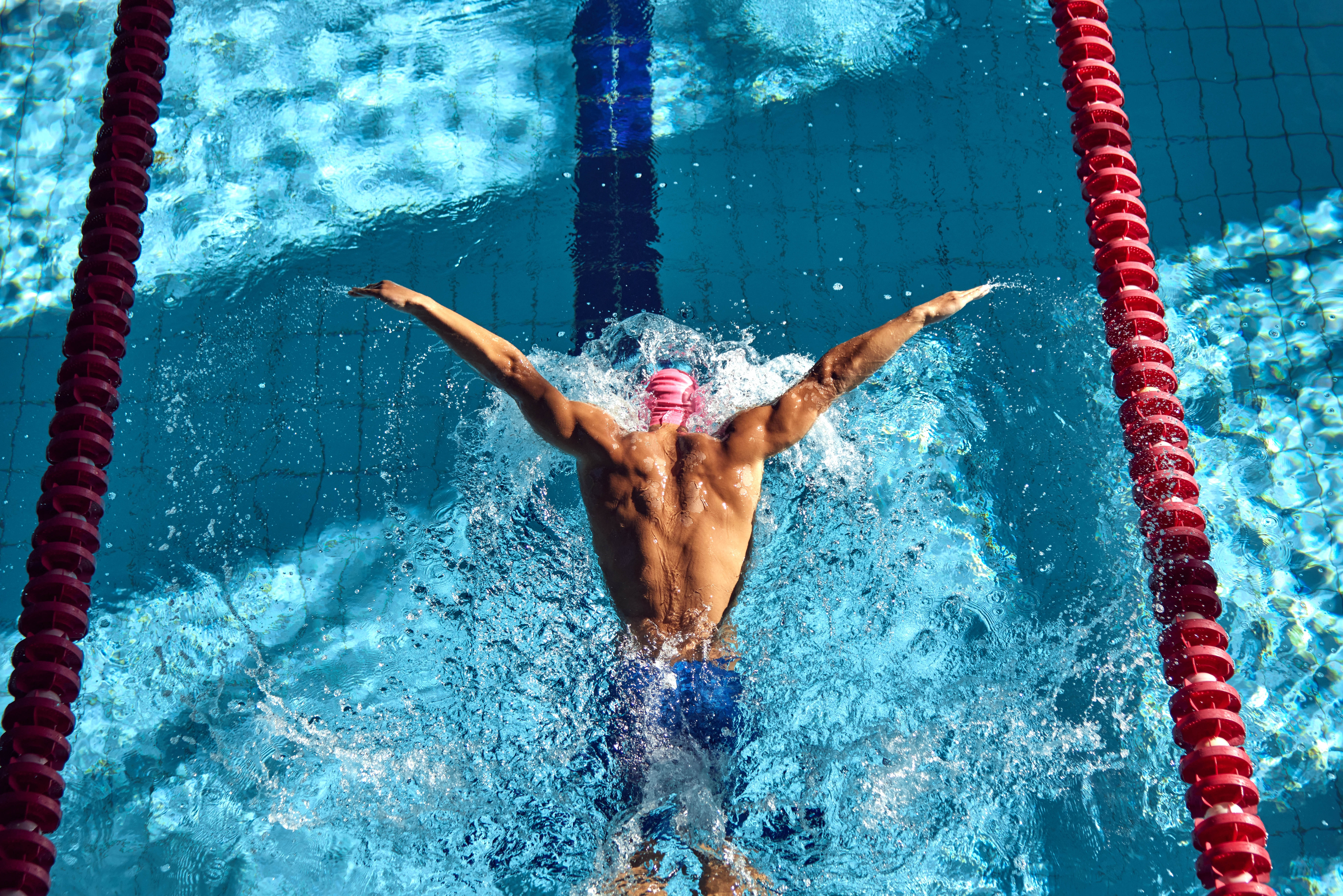 Overhead shot of a strong man's back as he swims in a pool